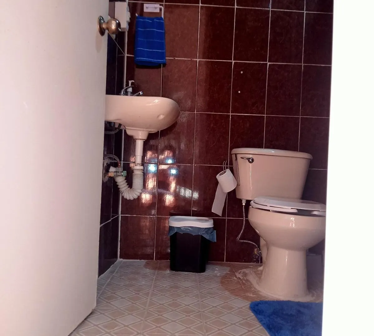 Excellent Apartment In Merida Mexico
