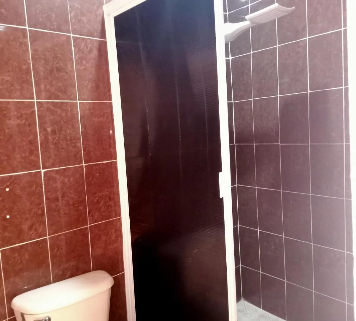 Excellent Apartment In Merida