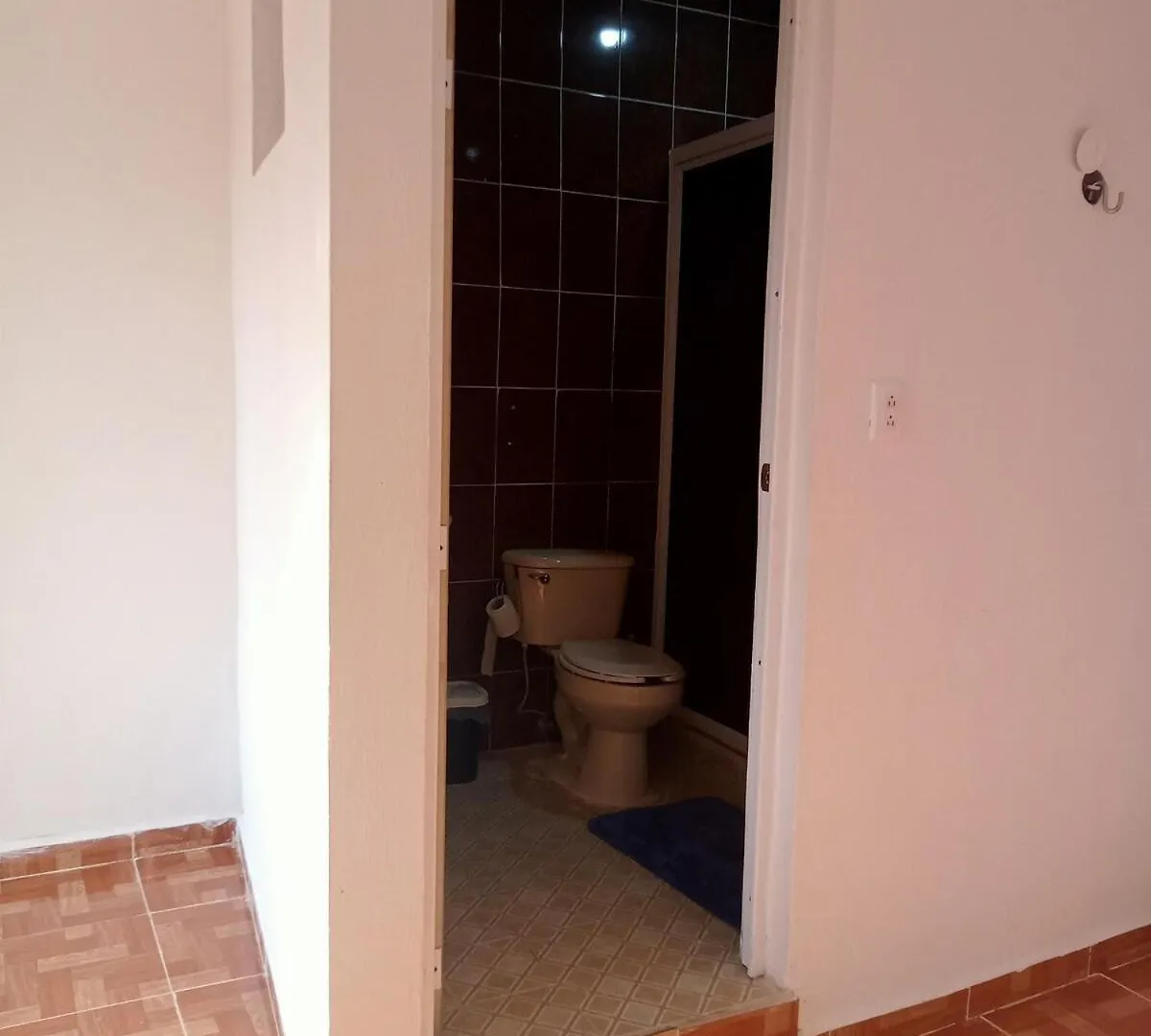 Excellent Apartment In Merida